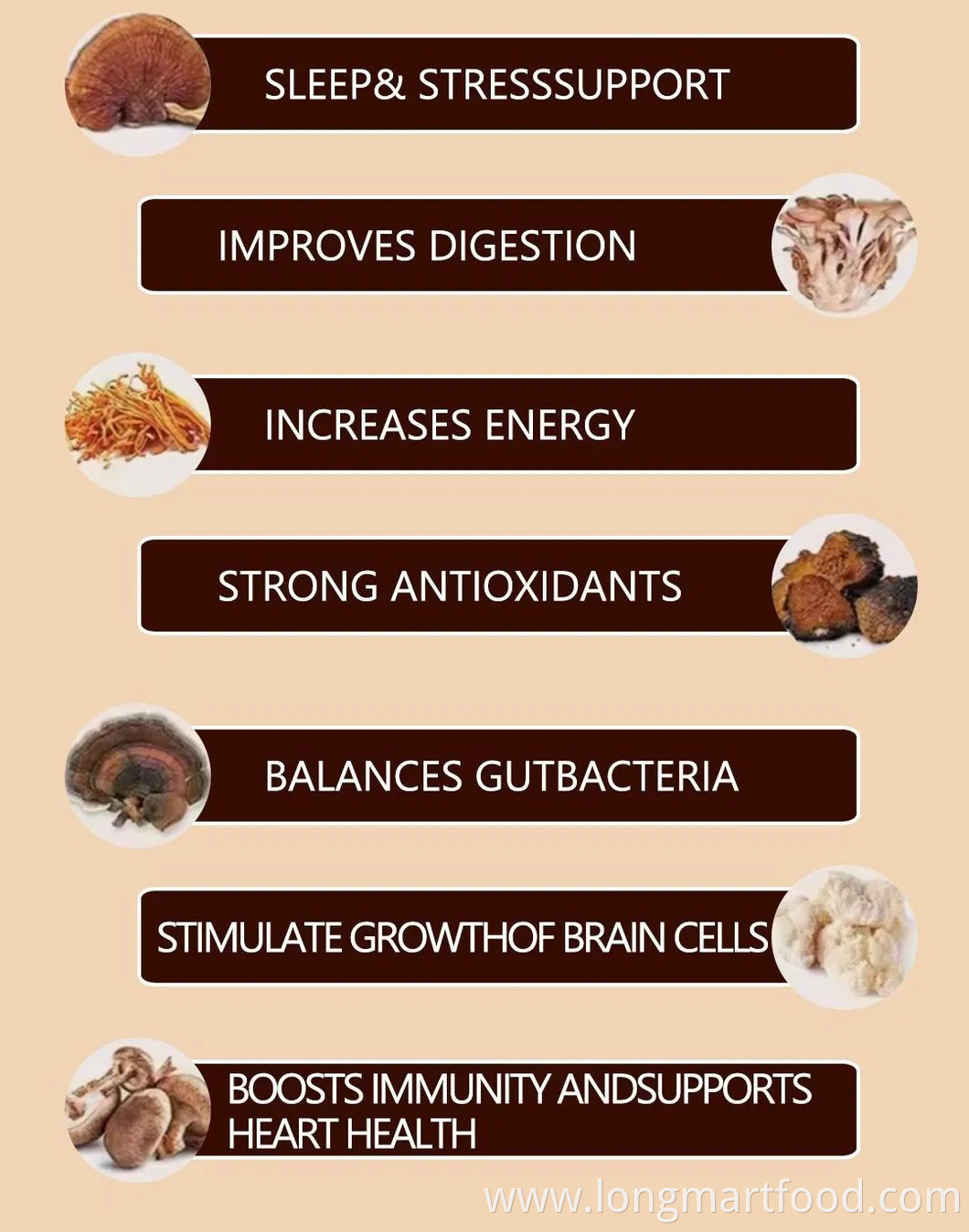 Private Label Cordyceps Reishi Chaga and Lions Mane Mushroom Coffee Mix